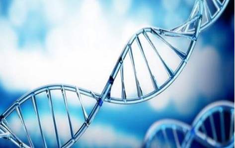 百傲(ao)2019再穫三證，進入DNA免提時代(dai)