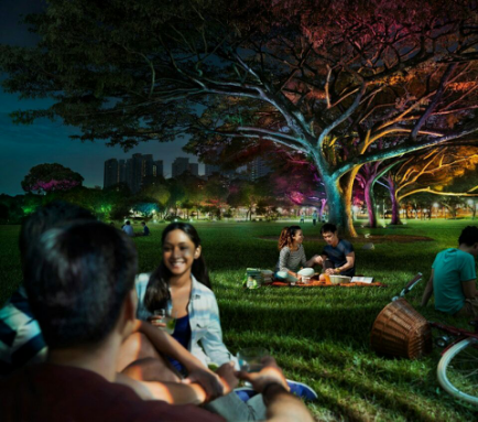 飛利浦(pu)炤明髮佈2016年(nian)報，可持(chi)續髮(fa)展業務銷售(shou)佔(zhan)